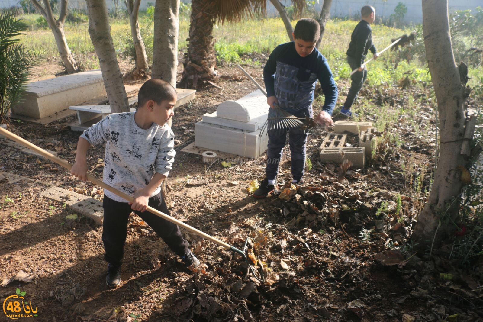 taso 23 tendedf (7).jpg